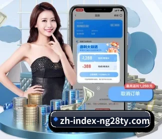 国际化进程 | ng28